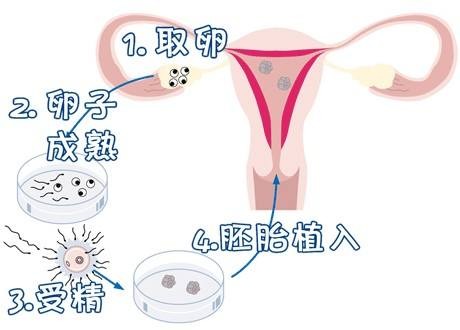 赵主任